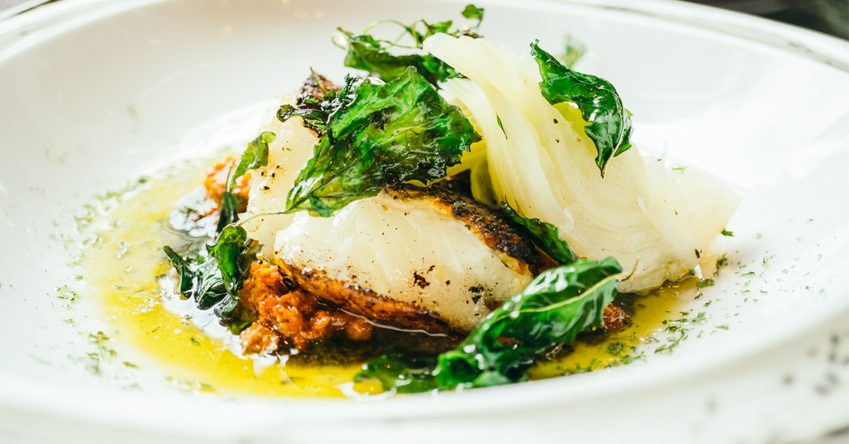 turbot poisson