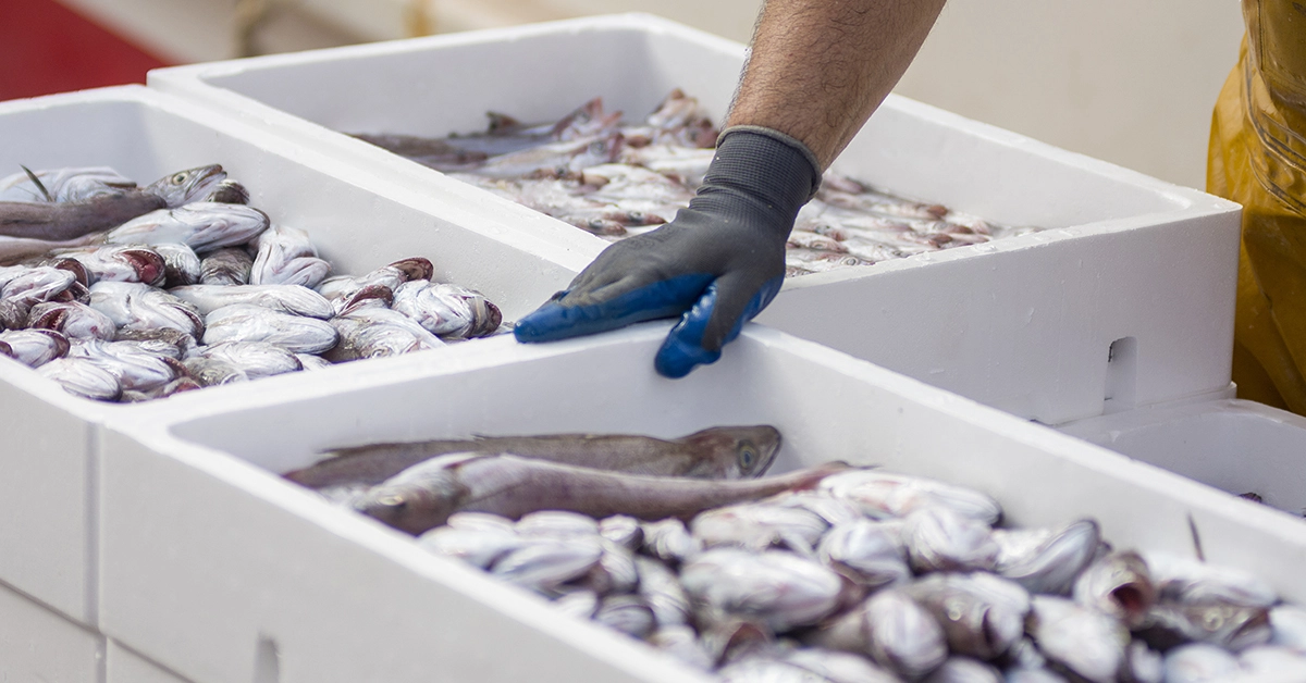 conserver poisson frais