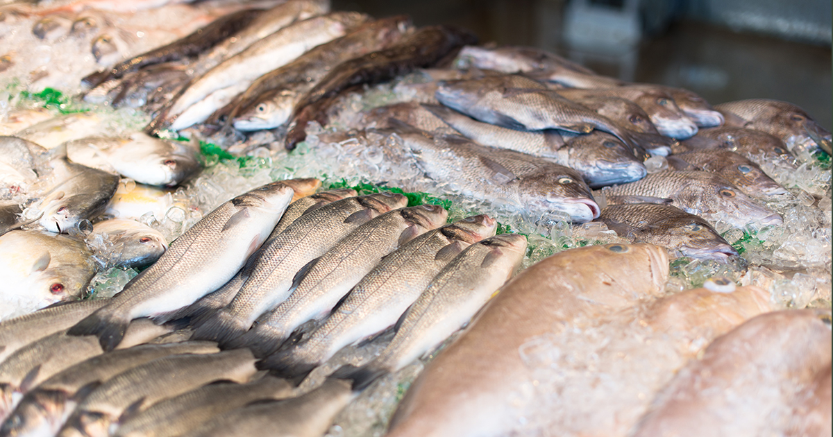poisson hâ