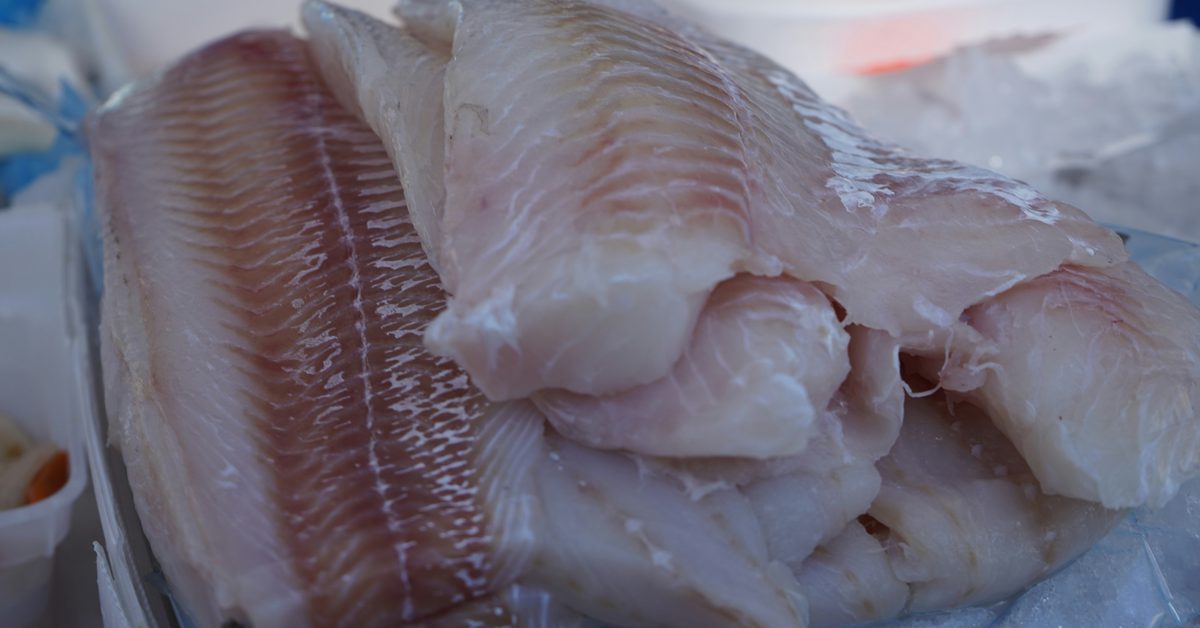 Filets de poisson blanc frais sur la glace d'un étal, pour calculer la quantité de poisson par personne